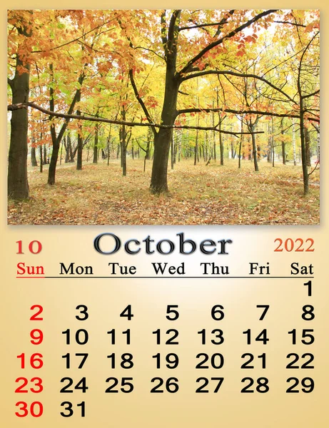2022年10月自然を思い出させるためのカレンダーです カレンダー2022年10月森のカエデの木の黄色の葉のイメージで カレンダー ホームプランナー — ストック写真