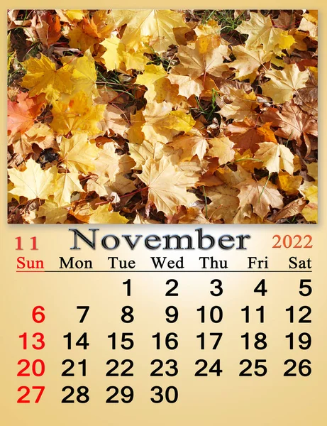 Calendar November 2022 Autumn Park Fallen Leaves Autumn Park Autumn — Zdjęcie stockowe