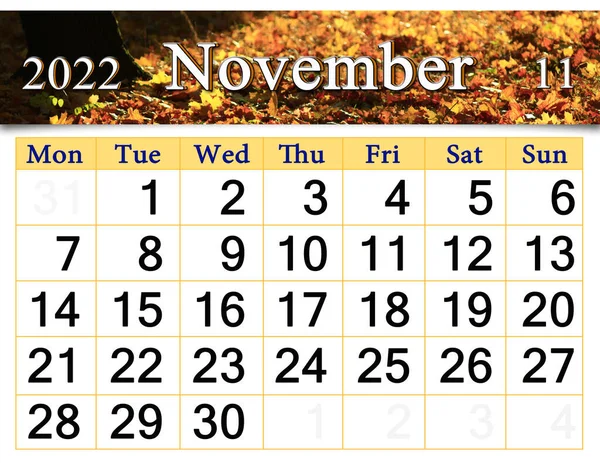 Calendar November 2022 Autumn Park Trees Yellow Color Autumn Calendar — 图库照片
