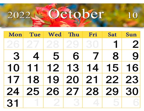October 2022 Calendar Organizer Plan Reminder Natural Photo Calendar October — 图库照片