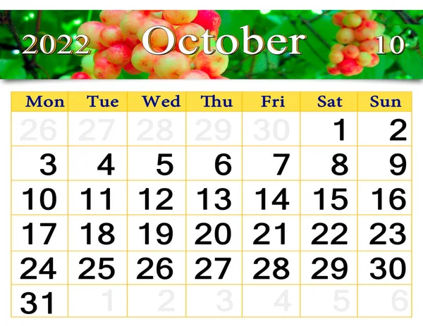 October 2022 Calendar Natural Photo Schisandra Calendar October 2022 Image — Fotografia de Stock