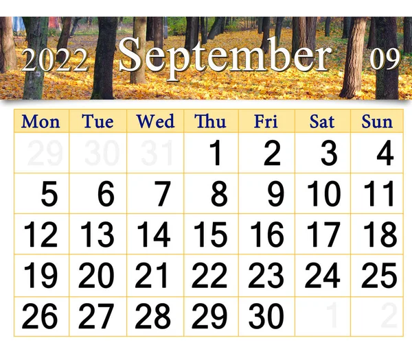 calendar for september 2022 with autumn park with fallen leaves in autumn park. autumn calendar september 2022. Calendar Printable. wall calendar with seasonal natural photo. Autumnal park with yellow leaves