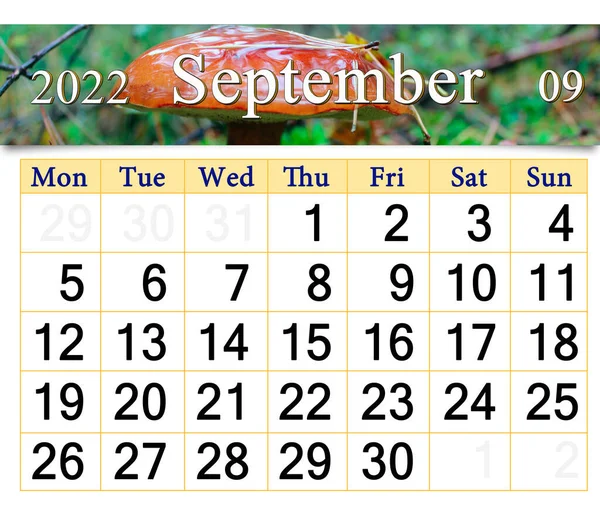 Calendar September 2022 Image Big Mushroom Green Moss Monthly Calendar — 图库照片