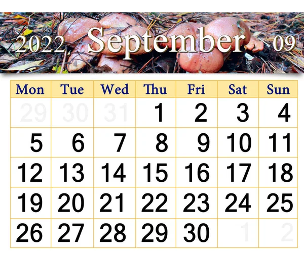 Calendar September 2022 Image Big Mushroom Green Moss Monthly Calendar — Zdjęcie stockowe