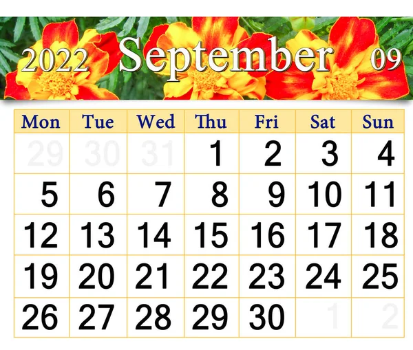 Calendar September 2022 Autumn Flowers Marigolds Autumn Calendar September 2022 — Stock Fotó