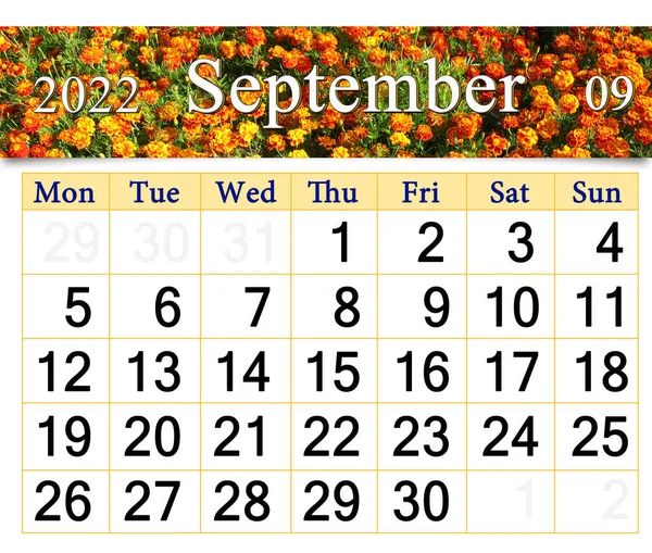 Calendar September 2022 Autumn Flowers Marigolds Autumn Calendar September 2022 — стоковое фото