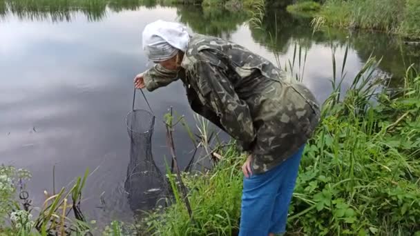 Жінка Витягує Сітку Виловленою Рибою Води Вилов Риби Риба Мережі — стокове відео