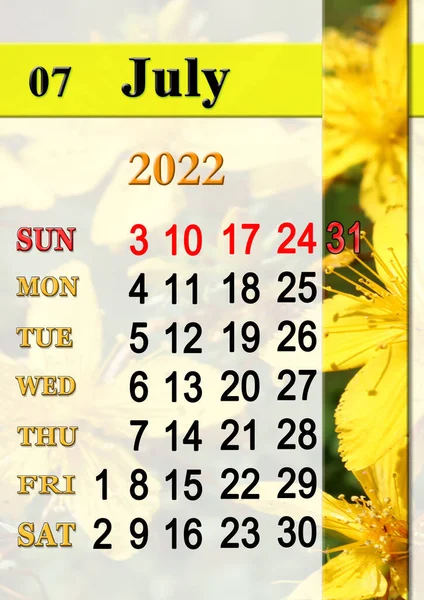 2022年7月组织者计划和提醒自然背景的日历 2022年7月的日历 上面印有圣约翰麦芽花的美丽花朵 — 图库照片