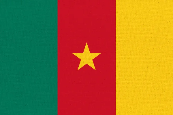 Flag Cameroon Cameroonian Flag Fabric Surface Cameroonian National Flag Textured — Stock Photo, Image