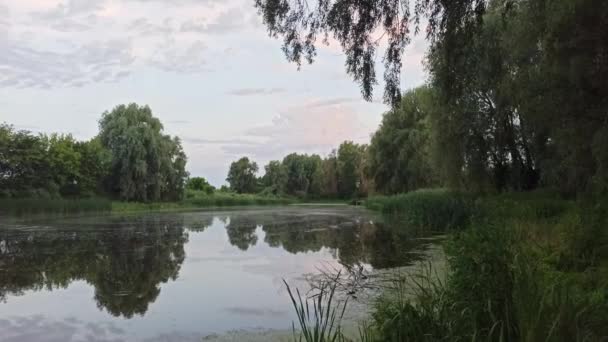 Paysage Avec Lac Entouré Canne Brushwood Précipitation Dans Lac Beau — Video