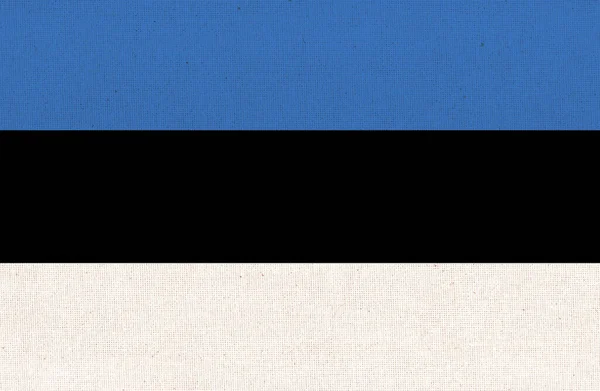 芬兰国旗 芬兰国旗在织物表面 面料质地 芬兰在图案背景上的国家象征 斯堪的纳维亚国家 — 图库照片