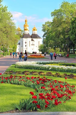 Chernihiv - Ukrayna. 10 Mayıs 2020: insanlar ilkbaharda lale yataklarıyla şehir parkında dinlenirler. Baharda çiçek açan laleleri olan Chernihiv kasabası. Güzel Ukrayna kasabası. Baharın renkleri. Şehir dekorasyonu. İnsanlar şehir parkına gidiyor.