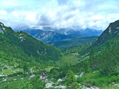 Meadow with herbs and wildflowers on background of mountains. Meadow landscape in mountains. Natural view with green grass. Lawn in mountauns