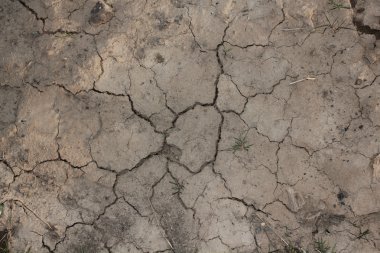 Kuru toprak üzerinde çatlaklar