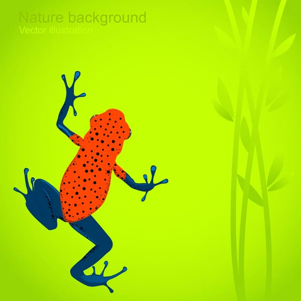 Природний фон з жабою — стоковий вектор