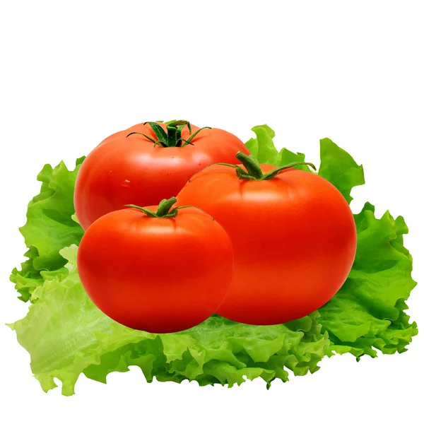 Pomodori e foglie di insalata — Foto Stock