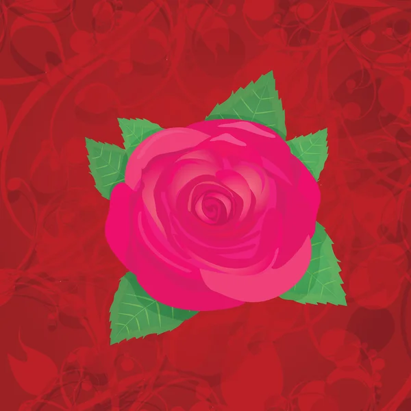 Vector rojo rosa flor fondo . — Vector de stock