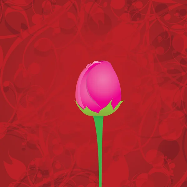 Vector red rose flower background. — Stock Vector