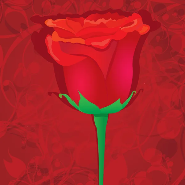 Vecteur rose rouge fond de fleur . — Image vectorielle