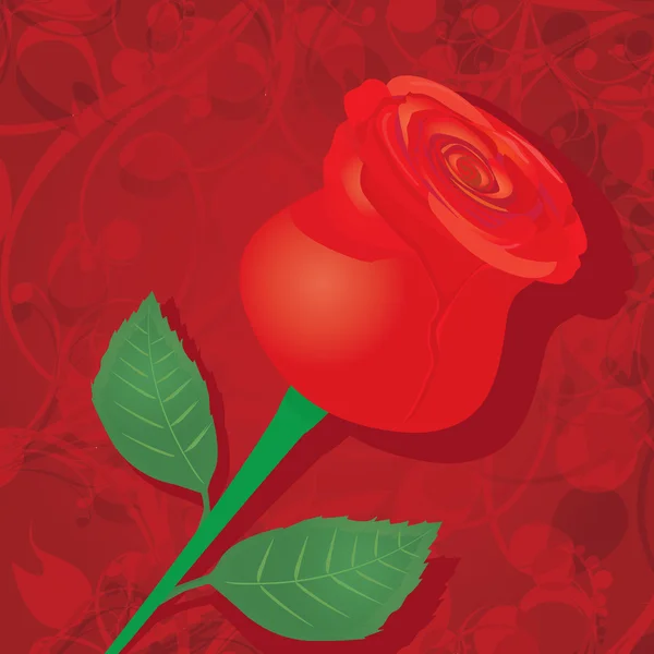 Διάνυσμα κόκκινο φόντο ροδαλό λουλούδι. — Διανυσματικό Αρχείο