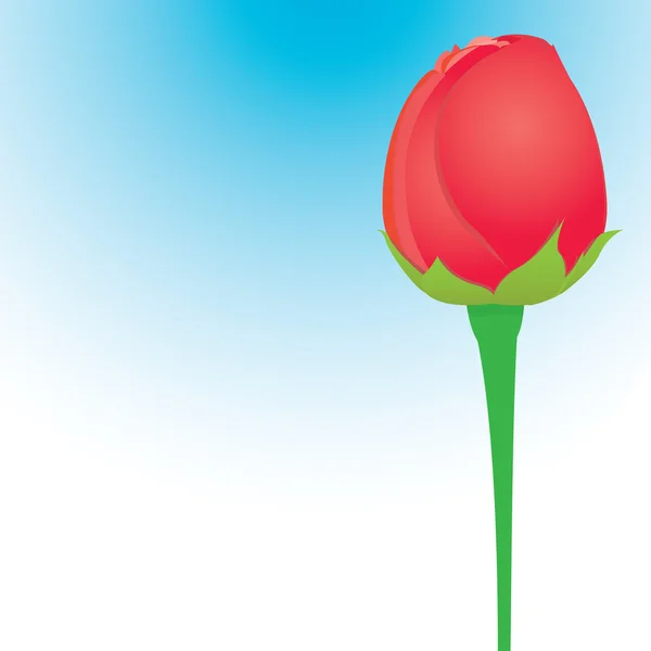 Vecteur rose rouge fond de fleur . — Image vectorielle