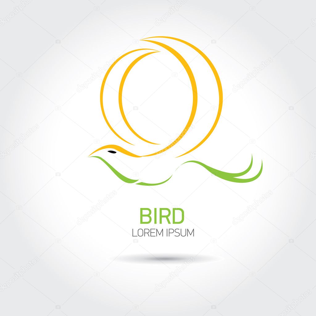 Color Bird abstract flying icon design template.