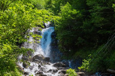 Güneş ışığıyla birlikte tropik dağ akıntısı. Yazın yeşil ormanlar arasında kristal berrak suyla birlikte doğal şelalenin muhteşem görüntüsü. Güzel güneşli orman manzarası