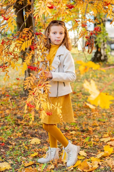 Moda adolescenziale. Ritratto di una giovane ragazza bruna in giacca di pelle beige sullo sfondo dell'autunno park.cute ragazza in gonna gialla si trova vicino all'albero di rowanberry rosso — Foto Stock