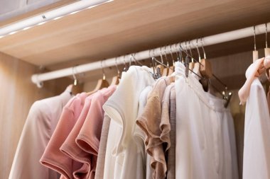 Clothes on a rail in a wardrobe. Seasonal capsule for easy dressing, order in things, cleaning out.Colorful casual clothes hang on hangers.Wardrobe, dressing room filled with clothes, shoes. storage clipart