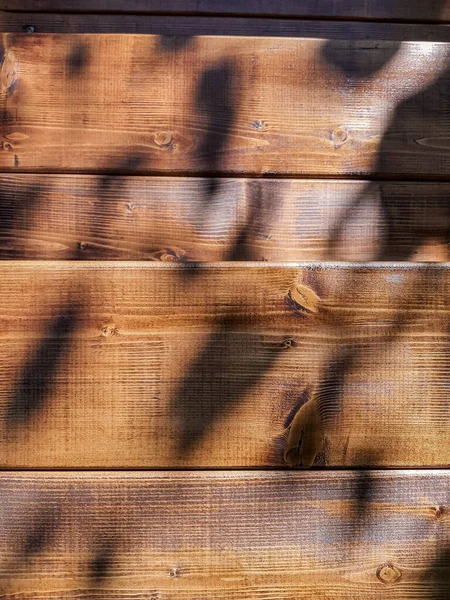 Madeira marrom parede prancha textura fundo com luz e sombra de ramos de rosa pela manhã, Vista frontal de cerca de madeira. Vintage velho padrão de madeira quente luz e sombra conceito de design mínimo — Fotografia de Stock