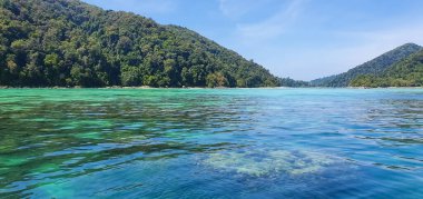Zümrüt deniz suyu ve güzel doğal kayalık deniz kıyısı. Yaz tatili ve sahil doğası kavramı. Kristal berrak turkuaz deniz suyuyla güzel küçük körfez.