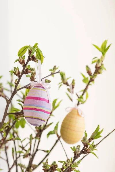 Ovos de Páscoa coloridos festivos.Um bando de ovos de Páscoa roxos, brancos e pontilhados pendurados em galhos de árvores com folhas dentro de casa no fundo branco. Decoração Páscoa — Fotografia de Stock