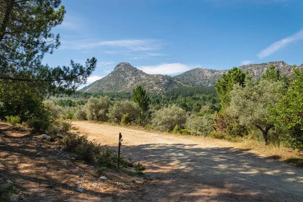 Marbella kasabasının arkasındaki doğal orman ve dağların manzarası.