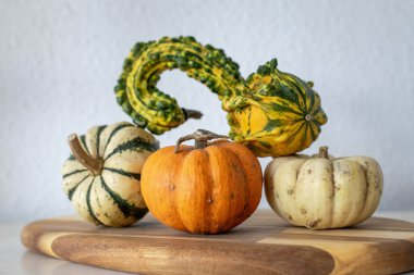 Tahta kesme tahtasında sunulan renkli ve çeşitli balkabağı süslemeleri. 