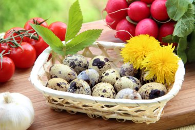 bir kompozisyon bıldırcın yumurtası ve ahşap üzerine taze sebze (biber, sarımsak, turp ve kiraz domates)