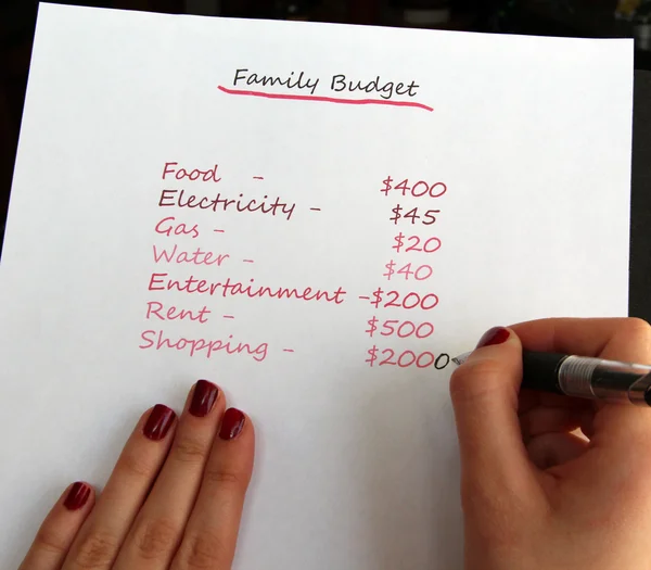 Щомісячний план доходу сімейний дохід — стокове фото