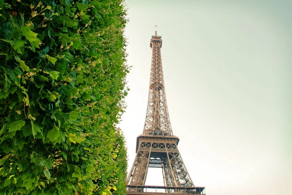 Torre Eiffel — Fotografia de Stock