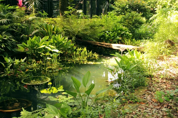 O jardim de chá japonês — Fotografia de Stock