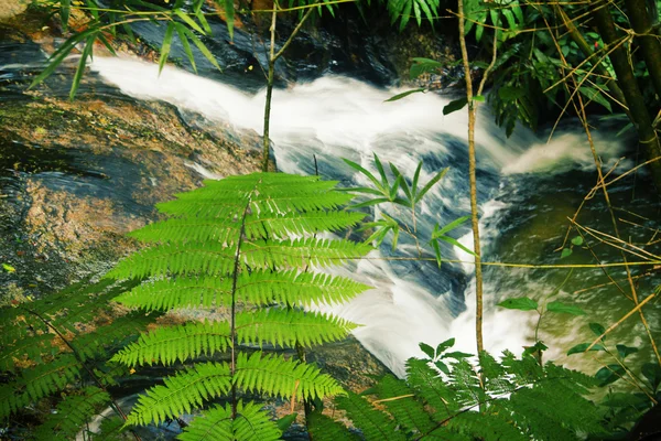 Cachoeira Fotografia De Stock