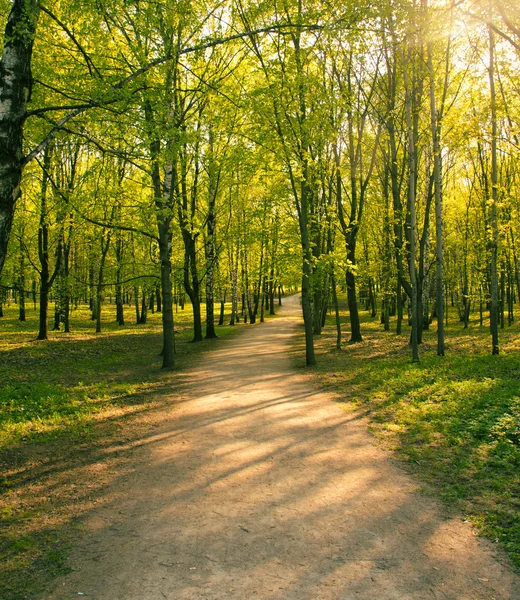 Yol.