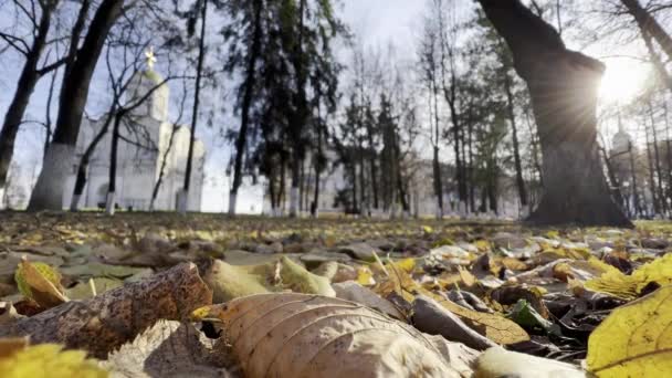 Parque de la ciudad de otoño con hojas amarillas caídas — Vídeos de Stock