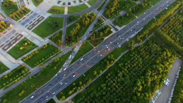 City road highway among the trees of the metropolis, Victory Park, aerial view — Stock Video
