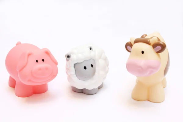 domuz, inek ve koyun