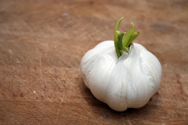 Garlic — Stock Photo, Image