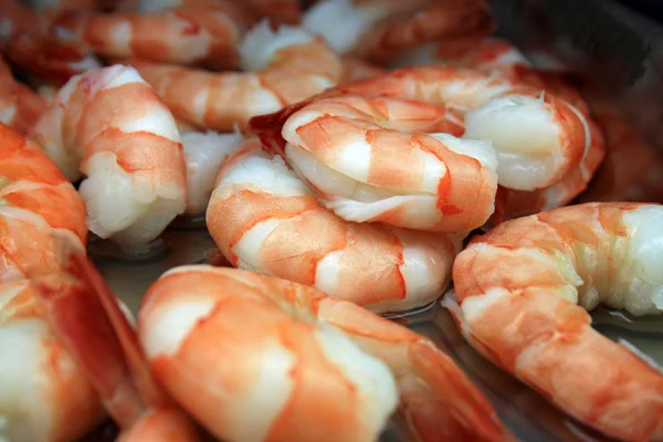 taze pişmiş karides