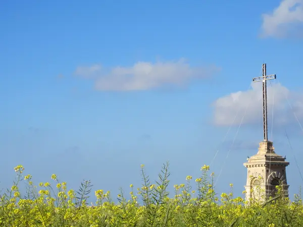 Krzyż kwiat pole — Zdjęcie stockowe