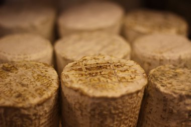 Pecorino peyniri