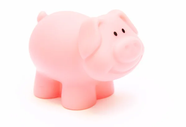 Pink pig — Stock Photo, Image