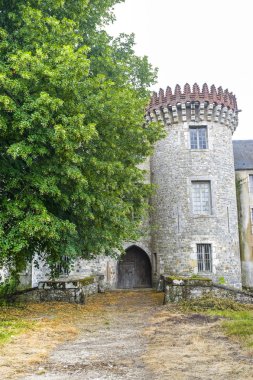 Milly-la foret - kale