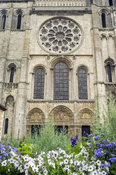 Chartres - Cathedral — Stock Photo, Image